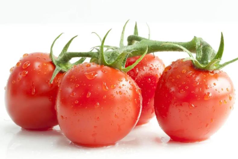 西紅柿.jpg 西紅柿.jpg